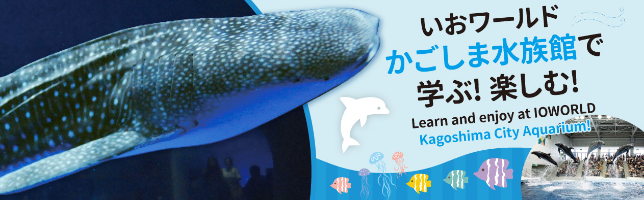 いおワールド かごしま水族館　vol.10