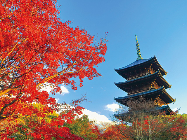 東寺 教王護国寺 京都観光コンシェルジュ