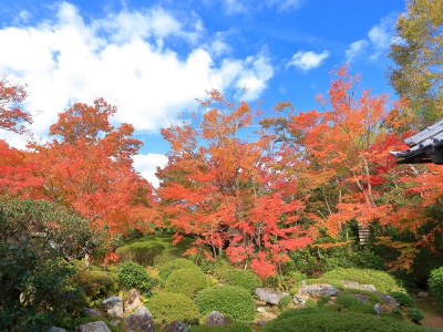 It is also known as a famous autumn foliage viewing spot. The best time to view the leaves is from mid to late November.