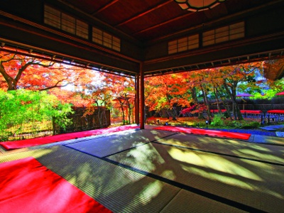 You can enjoy green tea and tea cakes at “Mui-an” tea ceremony.