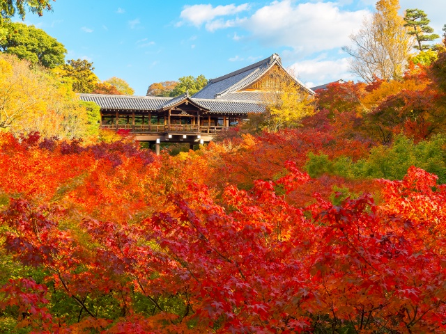 東福寺　vol19　グラビア