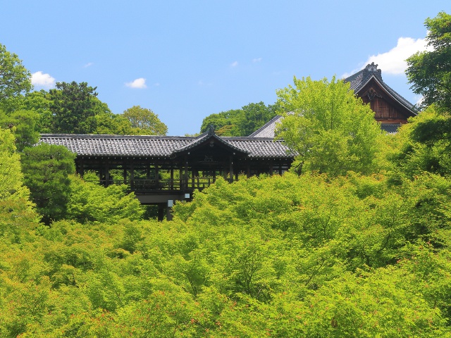 東福寺　vol20　グラビア