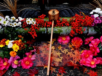 Hanachyozu is a symbol of the desire to “feel the nature of the four seasons and cherish the beauty of each season in your heart. Flowers that bloom in the precincts of the temple are often used.