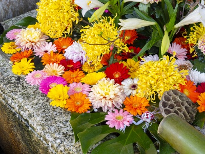 花手水はハロウィンのときはカボチャ、母の日はカーネーションなど季節の行事を意識している。立体的で生け花のよう！