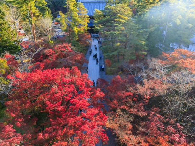 南禅寺　Vol19　グラビア