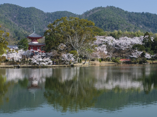 旧嵯峨御所 大本山大覚寺　vol20　グラビア