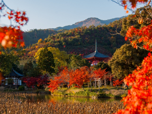 旧嵯峨御所 大本山大覚寺　vol19　グラビア