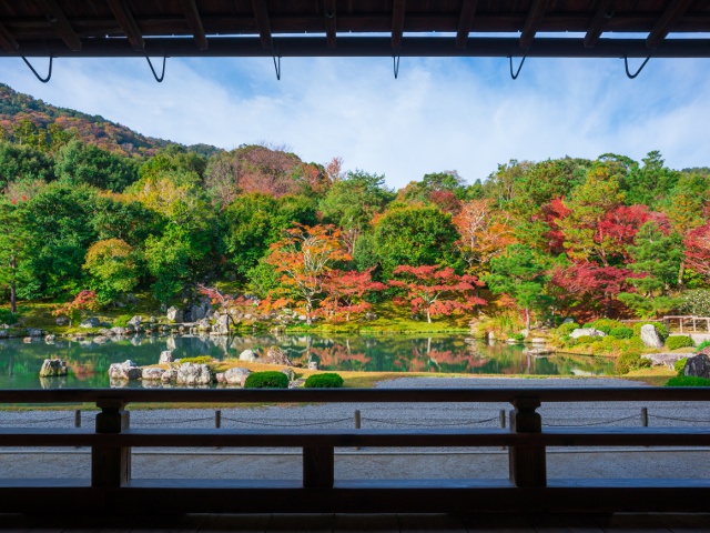 天龍寺　vol19　グラビア