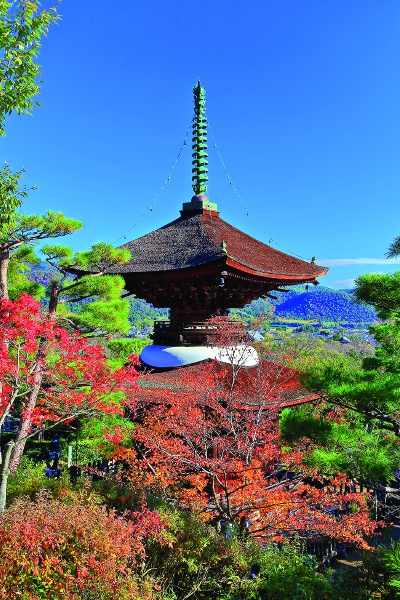 Built in the early Edo period, the two-storied pagoda is designated as a national important cultural property. The tower over the autumn leaves is quaint.