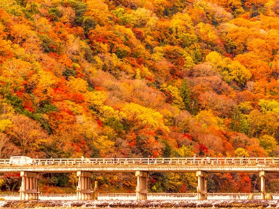 赤や黄に染まった山々は、まるでパッチワークを広げたよう。