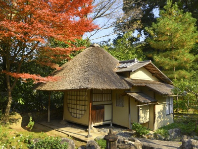 明治期に移築されたという茶室「遺芳庵」。趣あるたたずまいが紅葉になじむ。