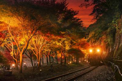 The “Illuminated Fantasy Train,” which allows visitors to enjoy the illuminated autumn leaves from a trolley train, is also very popular.