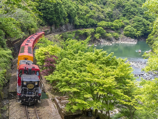 嵯峨野トロッコ列車 vol20　春夏ver　タイアップ［保存版］