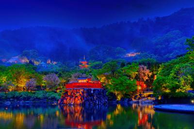 Katsuo-ji Temple occupies an area equivalent to about six Tokyo Domes. The temple is rich in nature and visitors can enjoy seasonal flowers.